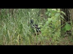 Cưới Em Về Em Cho Anh Đụ Mỗi Ngày